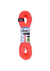 Beal Gully 7,3 Half rope (60 m, red)