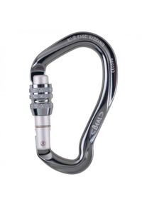 Beal Be Link Screwgate carabiner grey
