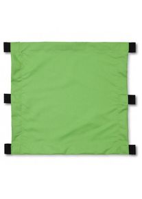 Croozer - Sonnenschutz green
