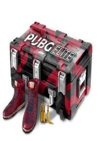 PLAYERUNKNOWN'S BATTLEGROUNDS RANDOM PUBG RANDOM BOOTS CASE BY PUBG-ELITE.NET Code GLOBAL