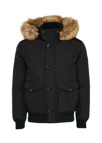Tommy Hilfiger, Heren Winterjas 'HAMPTON', zwart