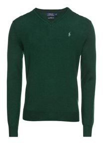 Polo Ralph Lauren, Heren Trui 'LS SF VN PP-LONG SLEEVE-SWEATER', spar