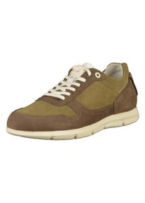 Birkenstock, Heren Sneakers laag, bruin / kaki / wit