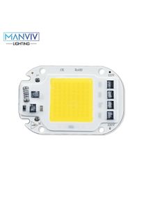Led Cob Chip 20W 30W 50W 110V 220V Smart Ic Geen Behoefte Driver Led Licht diy Led Gloeilamp Voor Schijnwerper Spotlight Home Verlichting