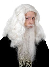 maskworld Zauberer Perücke