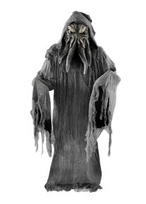 Cthulhu Costume with Mask | halloween costume