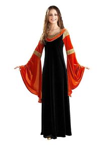 Rubies Lord of the Rings Arwen Dress Costume | halloween costume