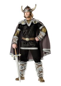 Viking King Costume | halloween costume