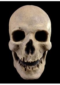 Old Bone Skull Mask