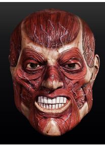 Rubies Flayed Head Latex Full Mask