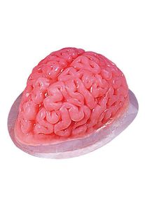 Halloween Jelly Mould Brain | halloween decoration