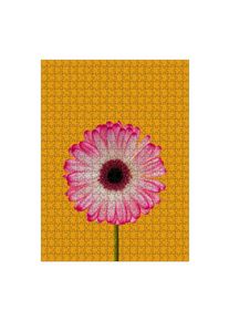 Puzzle Ravensburger "Daisy Gerbera" artboxONE Puzzle