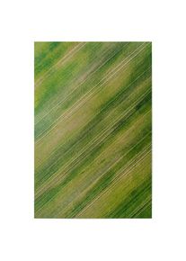 Poster "Green carpet" artboxONE Plakater - 18x13 cm
