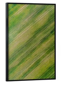 Poster with black frame "Green carpet" artboxONE Framed Poster