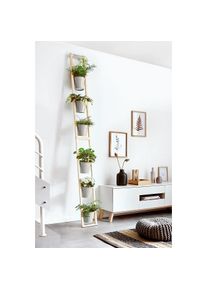 Fairwerk Plantenladder