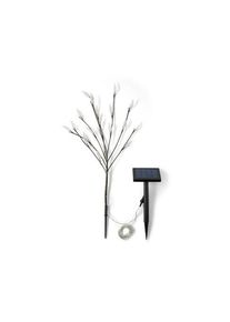 Krzew solarny LED Tchibo