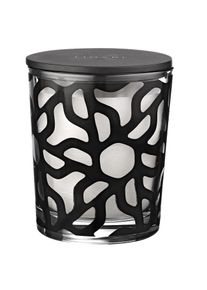 Linari - Duftkerze Ebano 190g