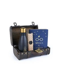 maskworld Harry Potter -Trouble Finds Me Coffret cadeau magique