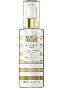 James Read - Coconut Water Tan Mist Face 100 ml