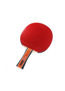 Cornilleau Sport 300 table tennis bat