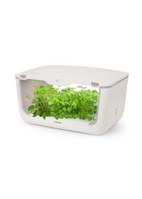 Klarstein GrowIt Farm, intelligens otthoni kert, 28 növény, 48 W-os LED, 8 liter