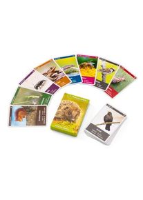 Quelle & Meyer Verlag Naturquartett Tiere im Garten