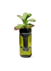 Side By Side SIDE BY Pflanzgefäß Self Watering Bottle Grün