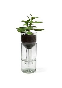 Side By Side SIDE BY Pflanzgefäß Self Watering Bottle Farblos