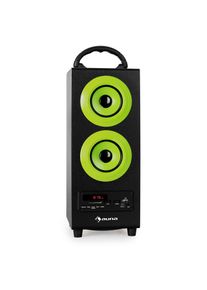 Auna , Bluetooth Lautsprecher Radio USB SD AUX UKW/MW MP3 Akkubetrieb , grün , LED-Display, AUX und Tragegriff