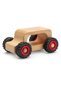 Fagus Fagus Knubbelauto
