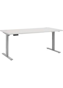 MAJA MÖBEL Maja Möbel , Schreibtisch , made_in_germany , Metall platingrau/platingrau