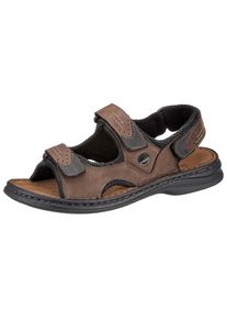 Josef Seibel Heren Sandalen 'Franklyn' bruin / donkerbruin 39
