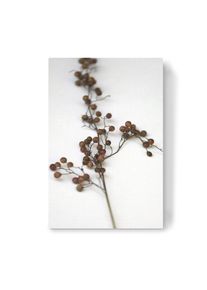 Canvas Print "Zweig und Samenkapsel I Naturtöne" artboxONE Wallart