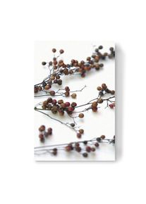 Canvas Print "Zweige mit Samenkapsel" artboxONE Wallart
