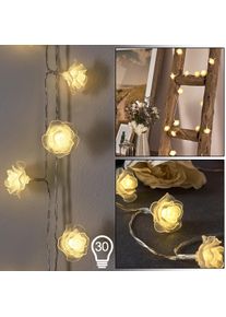 hofstein Guirlande Sondrio LED, 30 lumières