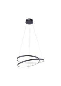 Paul Neuhaus ROMAN Lampa Wisząca LED Czarny, 1-punktowy