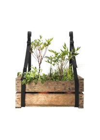 Bacsac Carrying strap balcony box