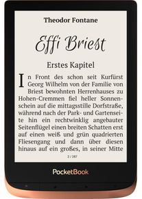 PocketBook , eBook-Reader , braun , Zuverlässiger eReader für den täglichen Gebrauch