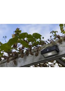 Applique murale d'extérieur Lutec Arrow LED Anthracite, 1 lumière, Détecteur de mouvement