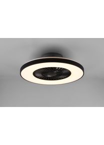 Ventilateur de plafond Reality Halmstad LED Noir, 1 lumière, Télécommandes