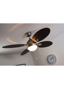 Ventilateur Globo WADE Acier inoxydable, Nickel mat, 1 lumière
