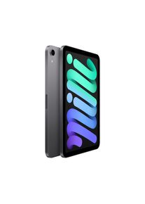 Apple , Tablet &raquo;iPad mini (2021), 8,3", Wi-Fi, 8 GB RAM, 256 GB Speicherplatz&laquo; , grau