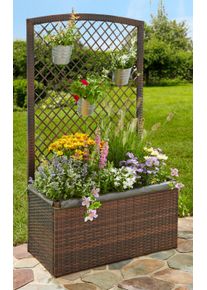 Merxx , Spalier, mit Pflanzkasten, BxTxH: 80x40x140 cm , braun
