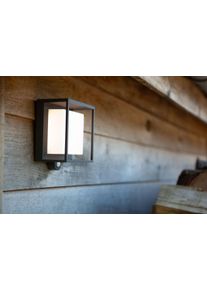 Applique murale Lutec Curtis Solar LED Anthracite, 1 lumière, Détecteur de mouvement