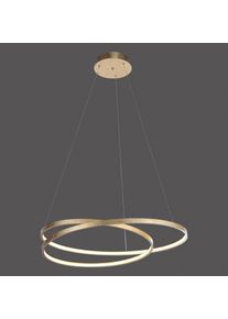 Paul Neuhaus ROMAN lampa wisząca LED Złoty, 1-punktowy