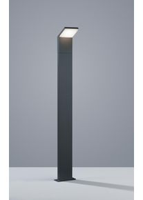 Trio PEARL Sokkellamp LED Antraciet, 1-licht