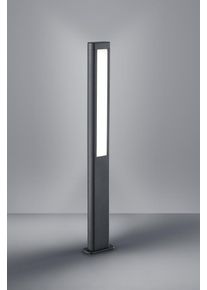 Borne lumineuse Trio RHINE LED Anthracite, 2 lumières