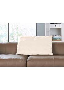 Hülsta Sofa hülsta sofa Rückenkissen »hs.432«, mit Rolle wahlweise in Stoff oder Leder