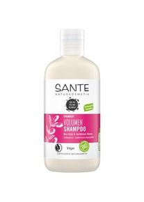 Sante Naturkosmetik Haarpflege Shampoo Volumen Shampoo Bio-Goji & farbloses Henna 250 ml