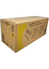 Konica Minolta 7300 Tambour d'image Jaune 4333513